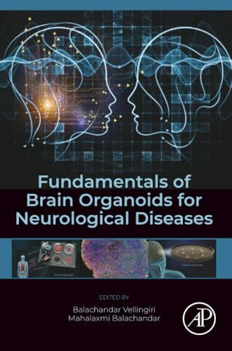 Fundamentals of Brain Organoids for Neurological Diseases