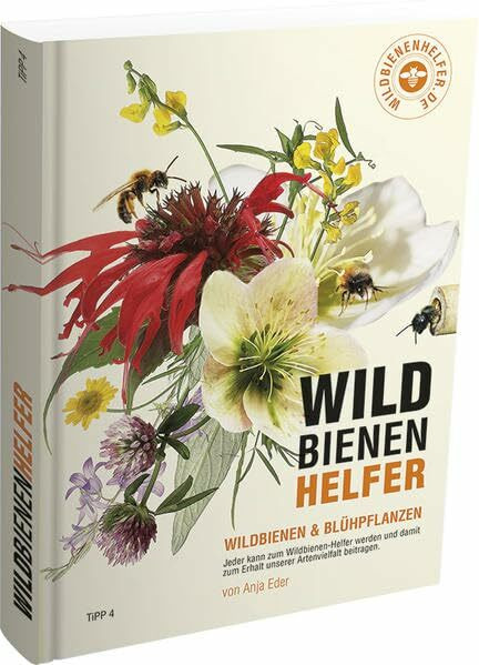 WILDBIENENHELFER: Wildbienen & Blühpflanzen