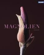 Magnolien