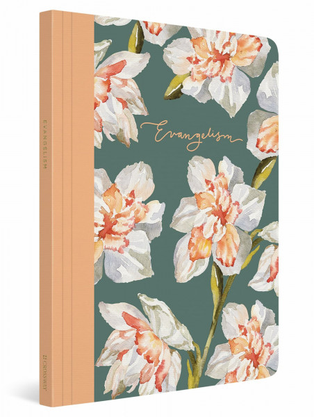 Holy Bible: Esv Prayer Journal: 30 Days on Evangelism