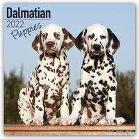 Dalmatian Puppies - Dalmatiner Welpen 2022 - 16-Monatskalender