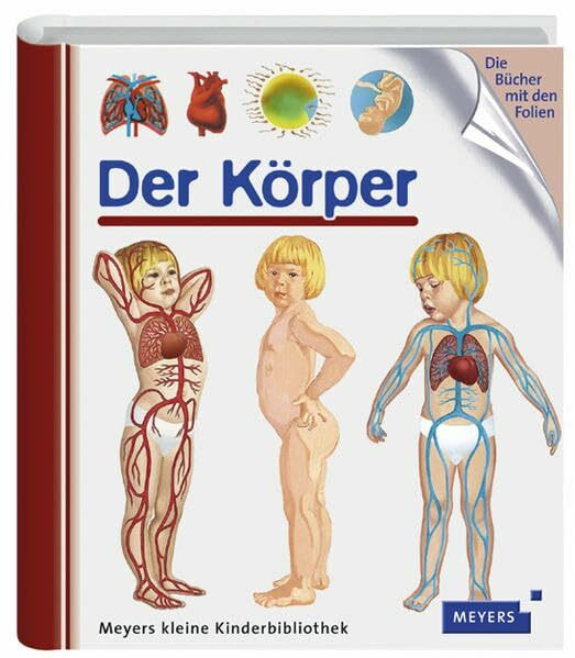 Der Körper: Der Korper (Meyers kleine Kinderbibliothek)