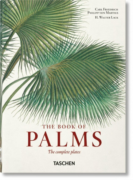 Martius. The Book of Palms