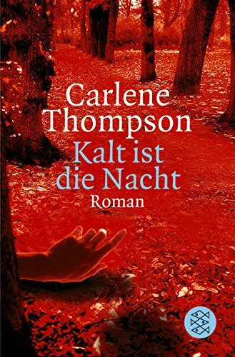 Kalt ist die Nacht: Krimi: Roman. Aus d. Engl. v. Irmengard Gabler. (Fischer Taschenbücher)