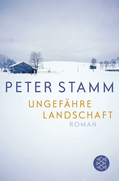 Ungefähre Landschaft: Roman