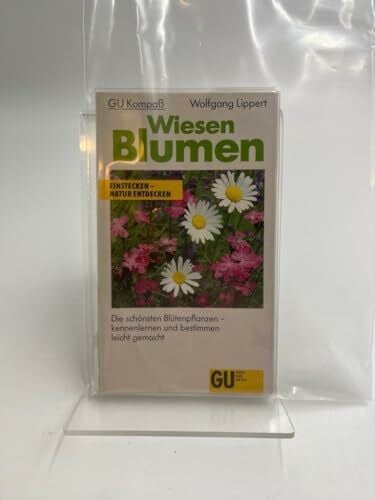 Wiesenblumen