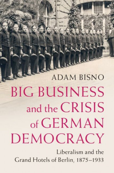 Big Business and the Crisis of German Democracy: Liberalism and the Grand Hotels of Berlin, 1875-1933 (Publications of the German Historical Institute)