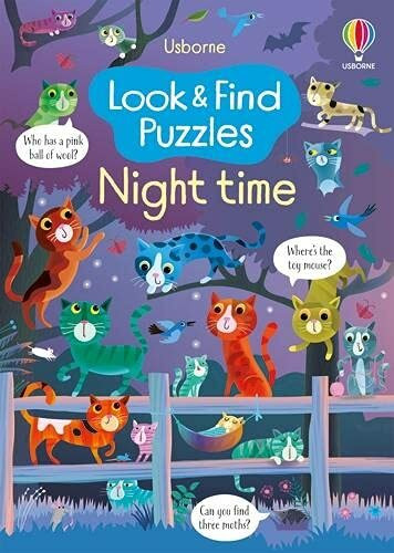 Look and Find Puzzles Night time