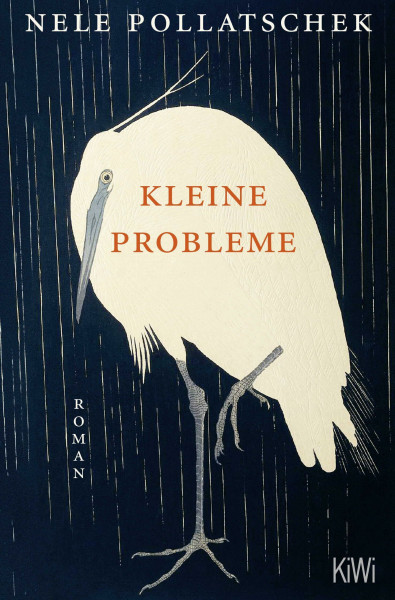 Kleine Probleme: Roman