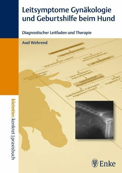 Leitsymptome in der Gynäkologie und Geburtshilfe beim Hund: Diagnostischer Leifaden und Therapie (Kleintier konkret)