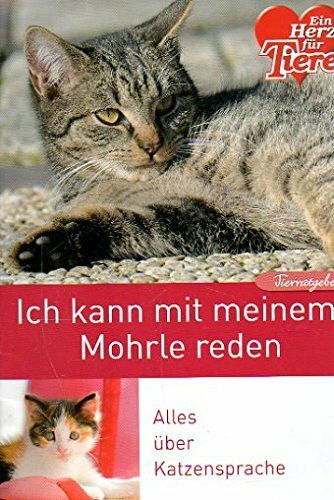 Tai-Chi Gesundheit und Entspannung