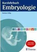 Kurzlehrbuch Embryologie