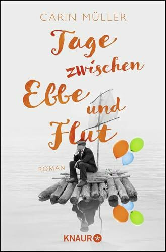 Tage zwischen Ebbe und Flut: Roman