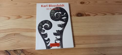 Blossfeldt Postcard Book