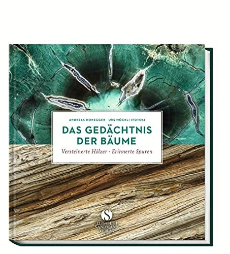 Das Gedächtnis der Bäume: Versteinerte Hölzer - erinnerte Spuren