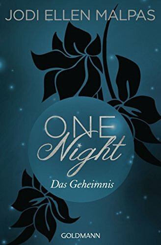 One Night - Das Geheimnis: Erotischer Roman (Die One Night-Saga, Band 2)