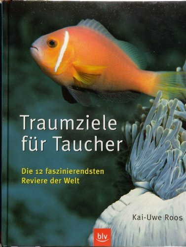 Traumziele für Taucher: Die 12 faszinierendsten Reviere der Welt