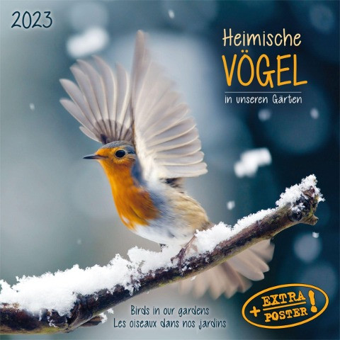 Heimische Vögel 2023