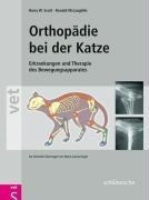 Orthopädie der Katze