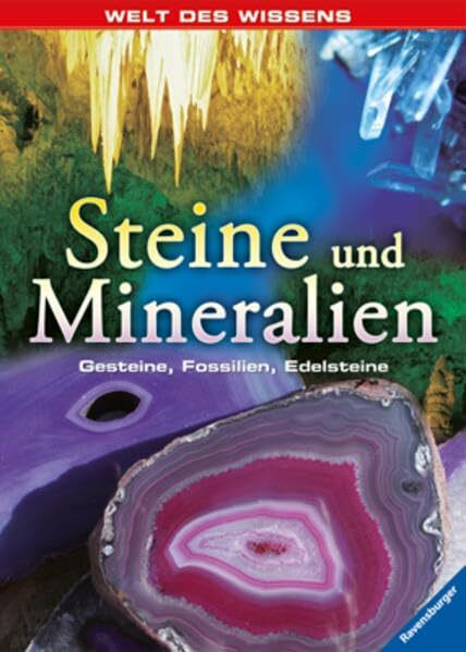 Steine und Mineralien: Gesteine, Fossilien, Edelsteine (Welt des Wissens)