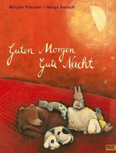 Guten Morgen, gute Nacht: Vierfarbiges Bilderbuch
