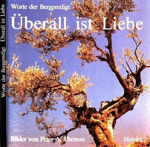 Worte der Bergpredigt. Überall ist Liebe