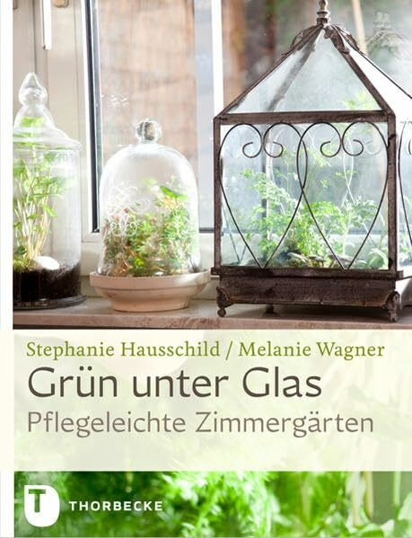 Grün unter Glas: Pflegeleichte Zimmergärten