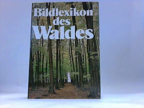 Das große Bilderlexikon des Waldes