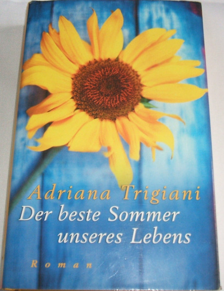 Der beste Sommer unseres Lebens: Roman
