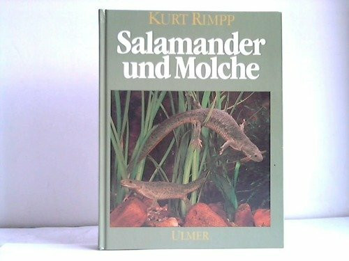 Salamander und Molche: Schwanzlurche im Terrarium