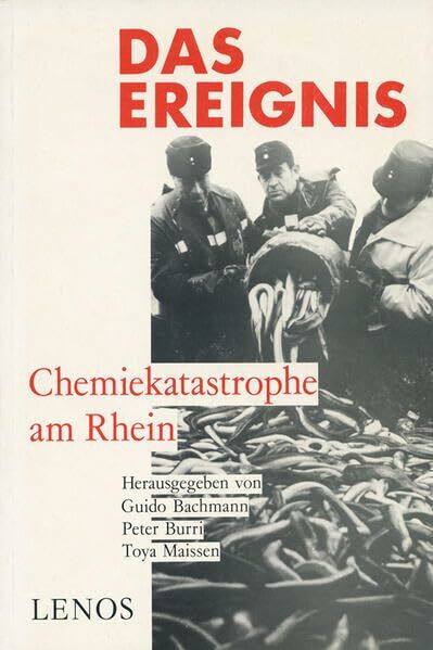 Das Ereignis: Chemiekatastrophe am Rhein