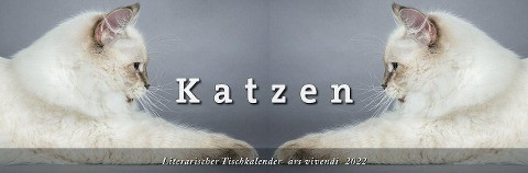 Katzen 2022 Literarischer Tischkalender