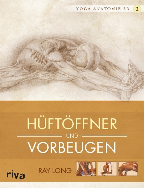 Yoga-Anatomie 3D. Hüftöffner und Vorbeugen