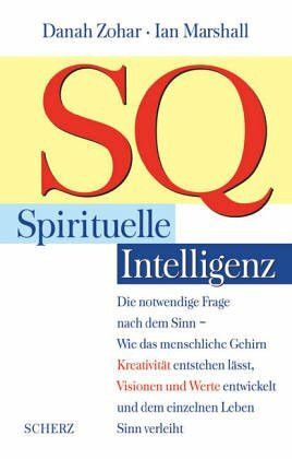 SQ, Spirituelle Intelligenz