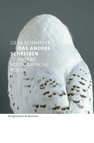 Das Andere schreiben – Kafkas fotografische Poetik (Film - Medium - Diskurs)