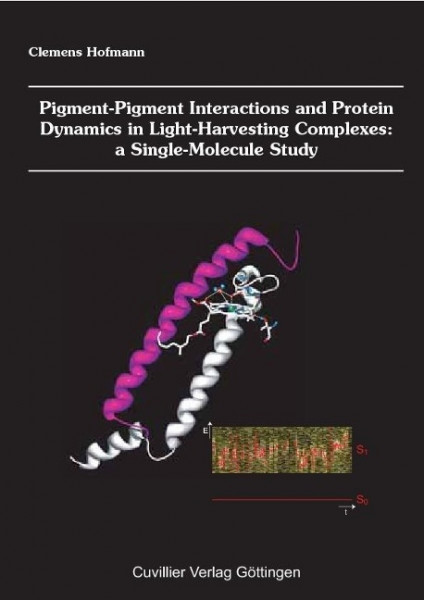 Pigment-Pigment Interactions and Protein Dynamics in Light-Harvesting Complexes: a Single-Molecule S