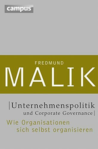 Unternehmenspolitik und Corporate Governance: Wie Organisationen sich selbst organisieren (Man...