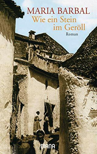 Wie ein Stein im Geröll: Roman