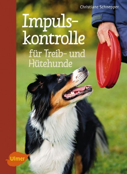 Impulskontrolle für Treib- und Hütehunde