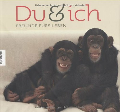 Du und ich