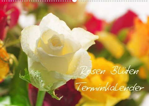 Rosen Blüten Terminkalender (Wandkalender 2022 DIN A2 quer)