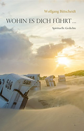 Wohin es dich führt ...: Spirituelle Gedichte