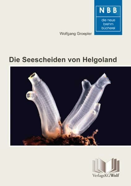 Die Seescheiden von Helgoland: Biologie und Bestimmung der Ascidien (Die Neue Brehm-Bücherei: Zoologische, botanische und paläontologische Monografien)