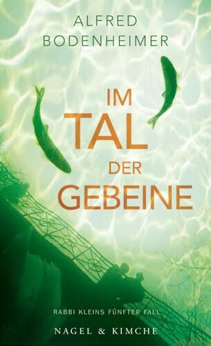 Im Tal der Gebeine: Rabbi Kleins fünfter Fall