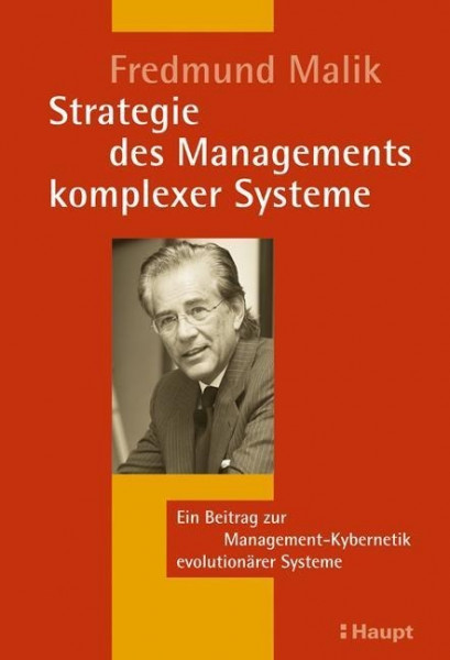 Strategie des Managements komplexer Systeme