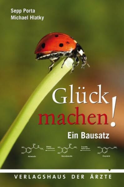 Glück machen!: Ein Bausatz