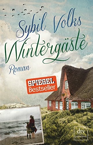 Wintergäste: Roman (Die Familie-Boysen-Reihe, Band 1)