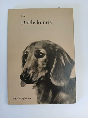 Die Dachshunde