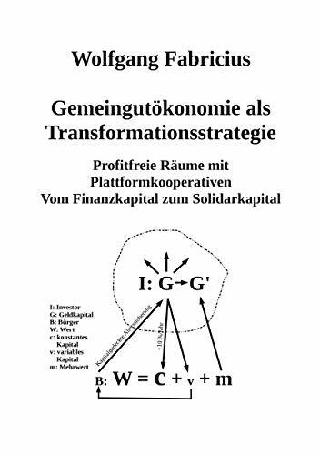 Gemeingutökonomie als Transformationsstrategie: Profitfreie Räume mit Plattformkooperativen Vom Finanzkapital zum Solidarkapital