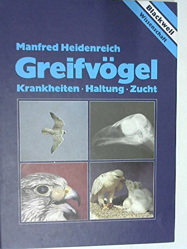 Greifvögel